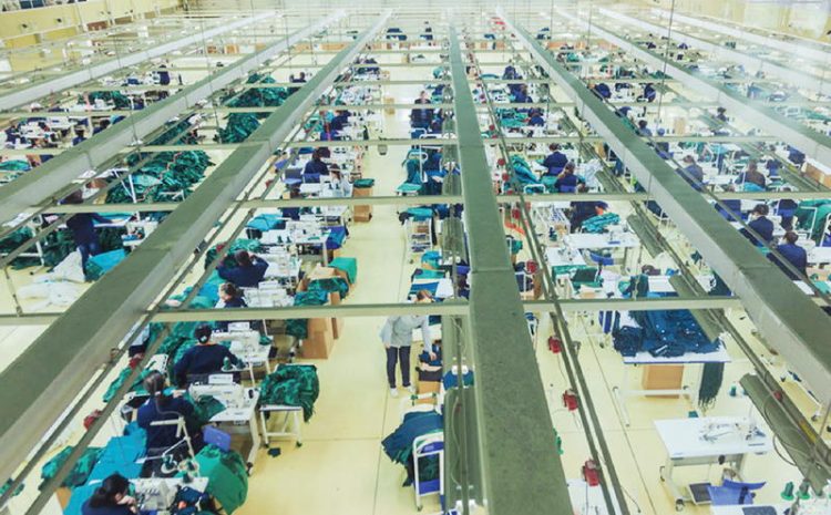  Текстильная фабрика «Giltex»